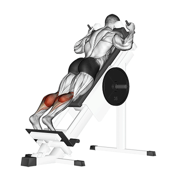 sled forward angled calf raise