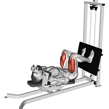 sled lying squat