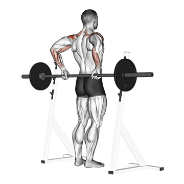 barbell rear delt raise