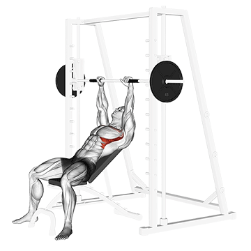 smith incline shoulder raises