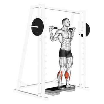 smith reverse calf raises