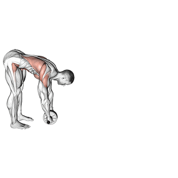 standing wheel rollerout