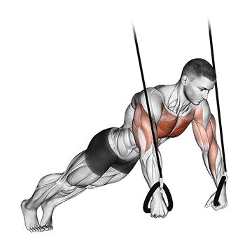 suspended push-up