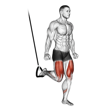 suspended split squat