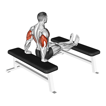 triceps dip (bench leg)