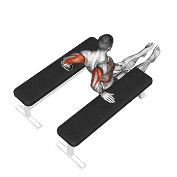 triceps dip (between benches)