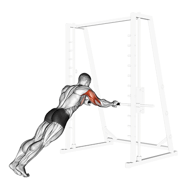 triceps press