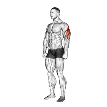 triceps stretch