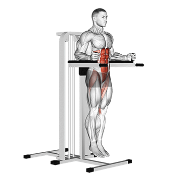 vertical leg raise (on parallel bars)