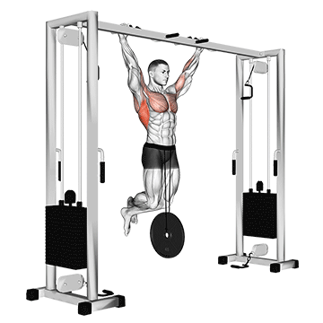 weighted pull-up