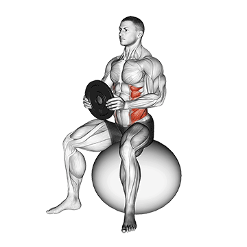 weighted seated twist (on stability ball)