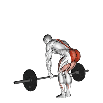 barbell romanian deadlift
