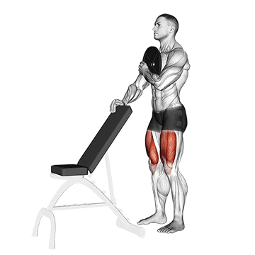 weighted sissy squat