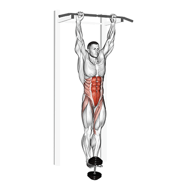 weighted hanging leg-hip raise
