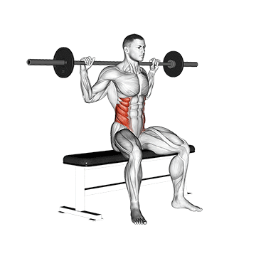 barbell seated twist