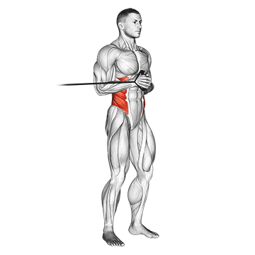 band horizontal pallof press