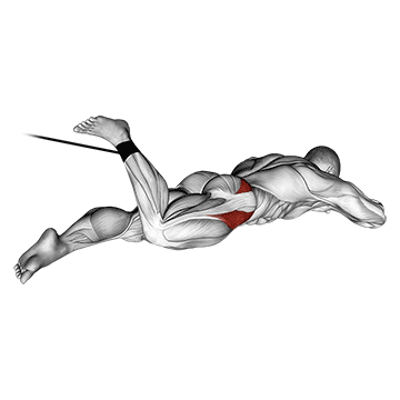 band lying hip internal rotation