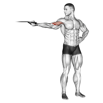 band one arm overhead biceps curl