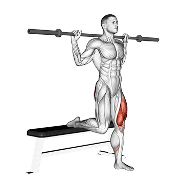 barbell single leg split squat